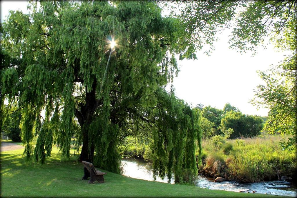 Aqua Terra Guest House Lydenburg Kültér fotó